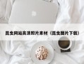 泗阳昆虫网站高清照片素材（昆虫图片下载）